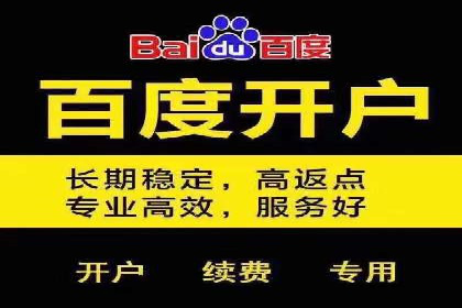 揭秘：成功SEM推广代运营公司案例解析