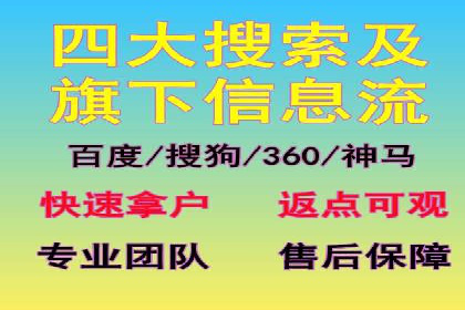 SEM推广在本地化服务中的应用案例